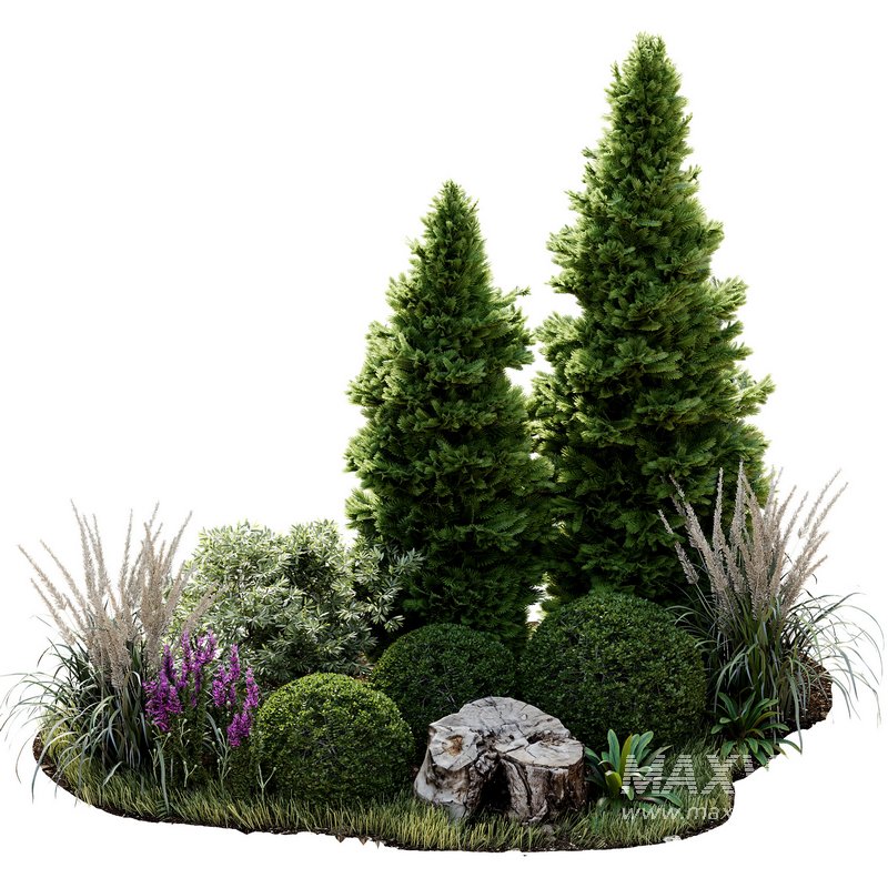 Outdoor Plant 34 - Image 2