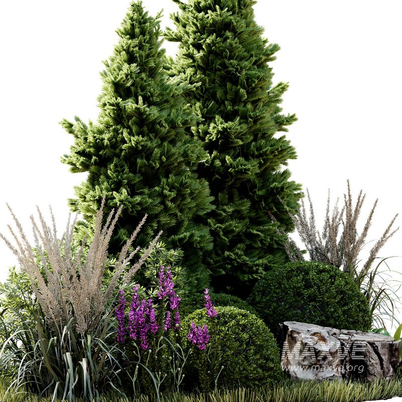 Outdoor Plant 34 - Image 4