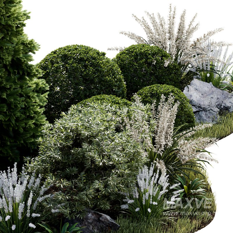 Outdoor Plant 33 - Image 4