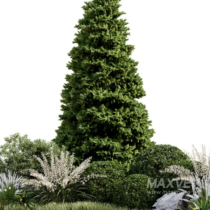 Outdoor Plant 33 - Image 5