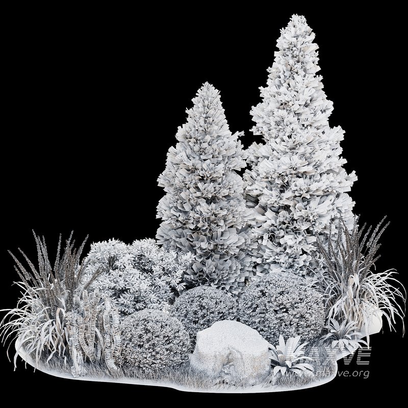 Outdoor Plant 34 - Image 6