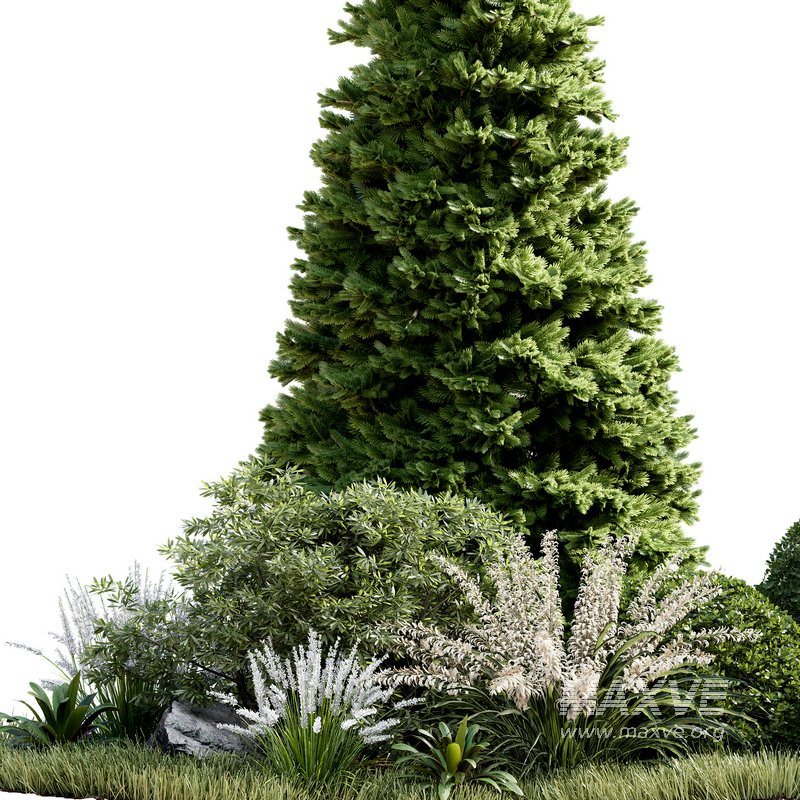 Outdoor Plant 33 - Image 6