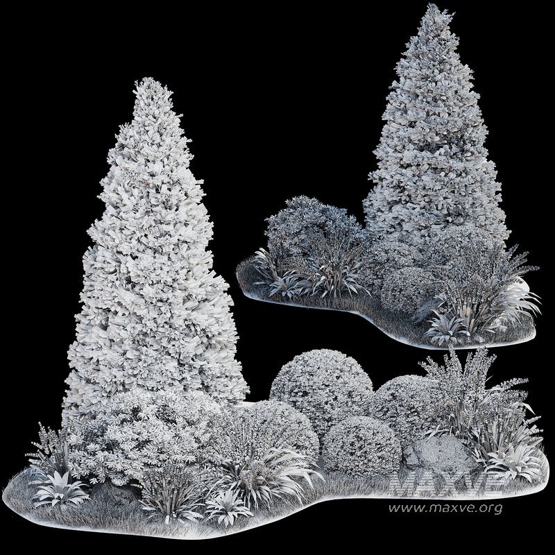 Outdoor Plant 33 - Image 7