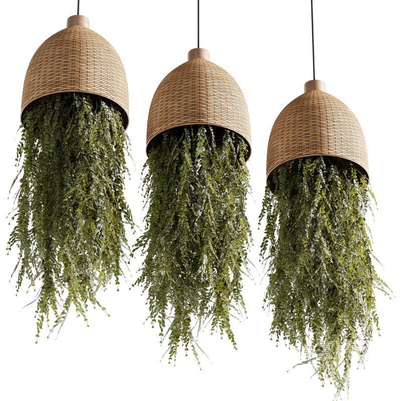 Indoorplants-Hanging plants set-81 - Image 4