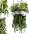 Indoorplants-Hanging plants set-77 - Thumbnail 1