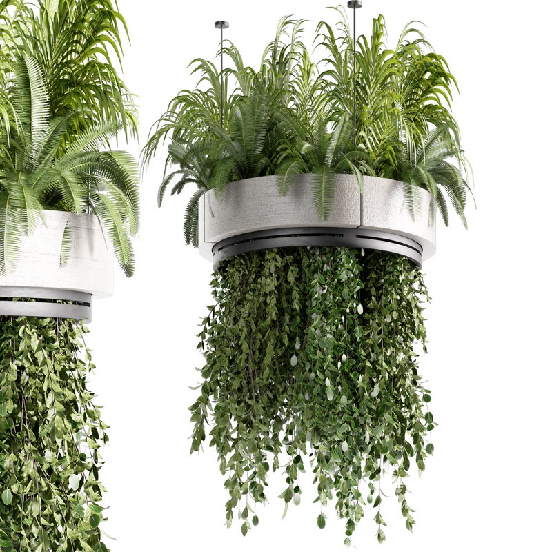 Indoorplants-Hanging plants set-77 - Image 1