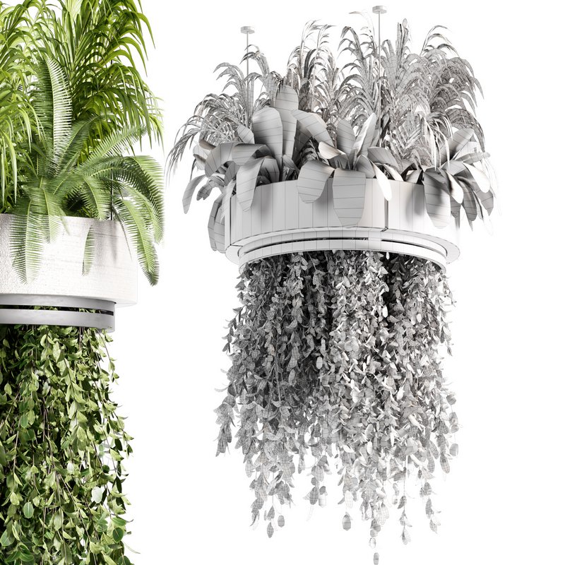 Indoorplants-Hanging plants set-77 - Image 5