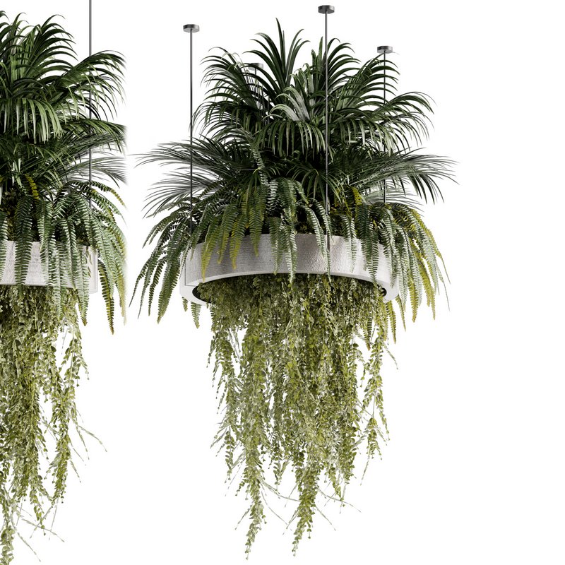 Indoorplants-Hanging plants set-78 - Image 1