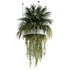 Indoorplants-Hanging plants set-78 - Thumbnail 5