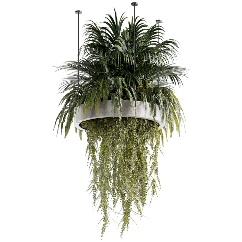 Indoorplants-Hanging plants set-78 - Image 5