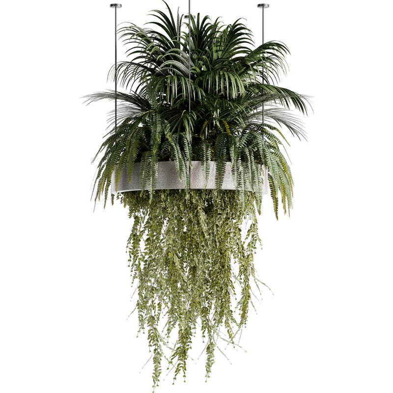 Indoorplants-Hanging plants set-78 - Image 6