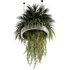 Indoorplants-Hanging plants set-78 - Thumbnail 3