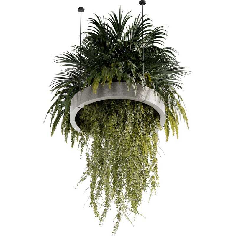 Indoorplants-Hanging plants set-78 - Image 3