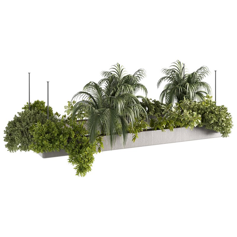 Indoorplants-Hanging plants set-80 - Image 5