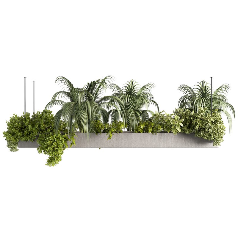 Indoorplants-Hanging plants set-80 - Image 2