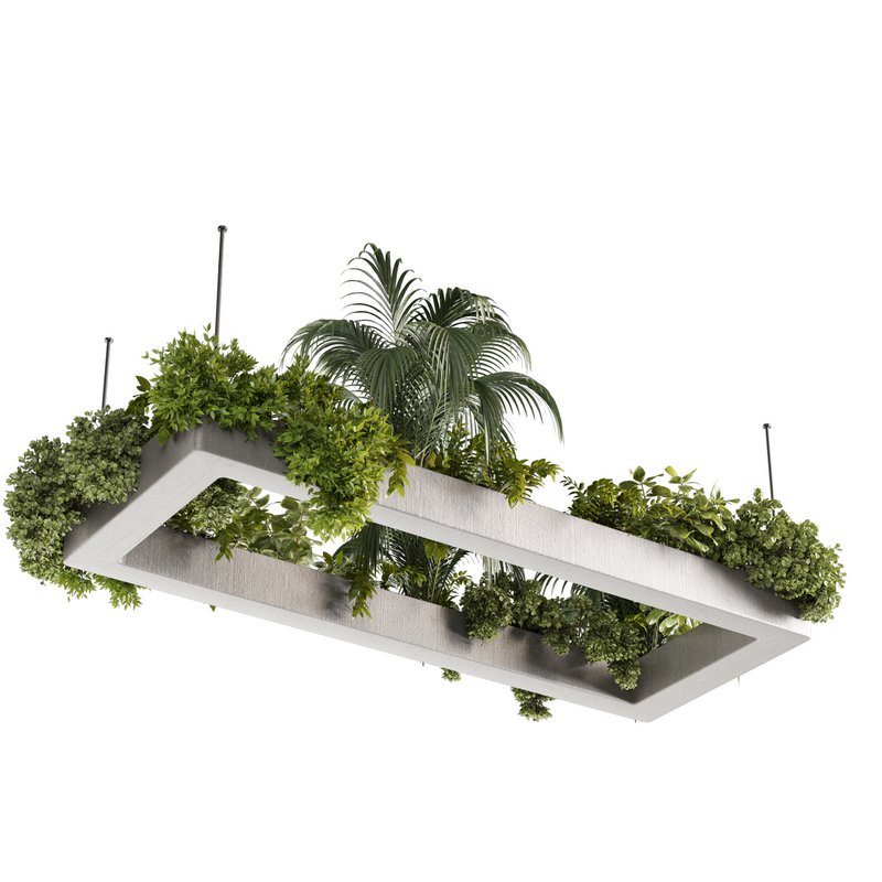 Indoorplants-Hanging plants set-80 - Image 3