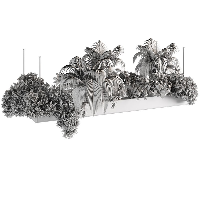 Indoorplants-Hanging plants set-80 - Image 4