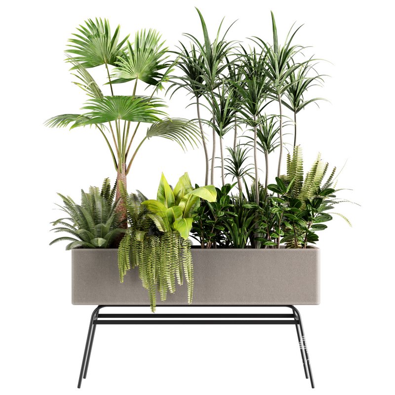 indoorplants-plants in Boxset147 - Image 1