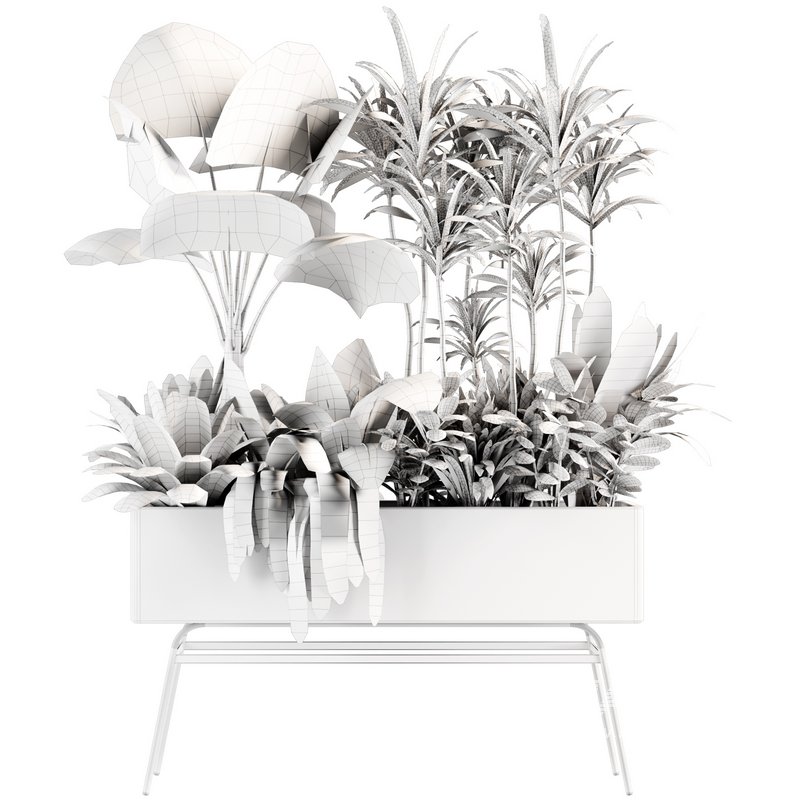 indoorplants-plants in Boxset147 - Image 3