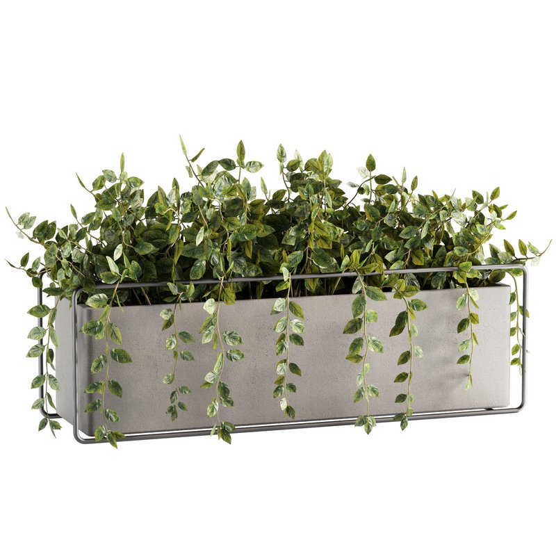 Indoorplants-plants in Boxset148 - Image 4