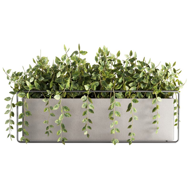 Indoorplants-plants in Boxset148 - Image 1