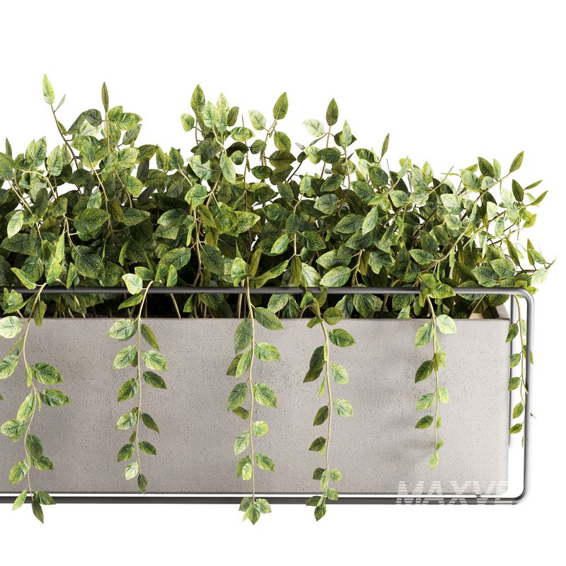 Indoorplants-plants in Boxset148 - Image 3