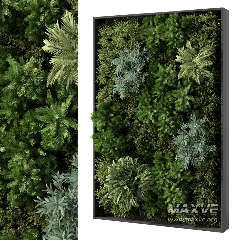 Fitowall Set No.1 - Image 1