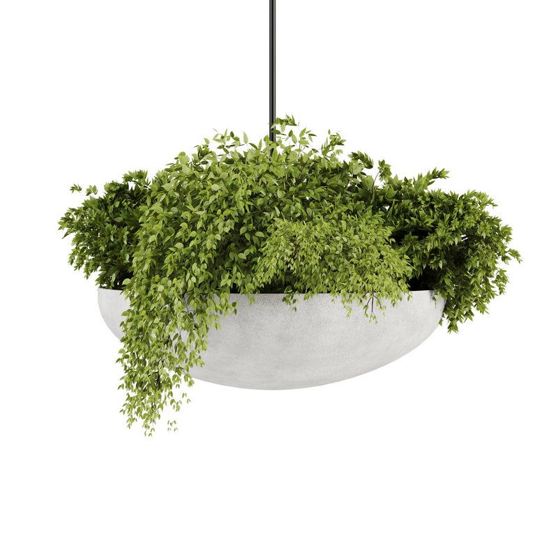 Indoorplants-Hanging plants set-82 - Image 2