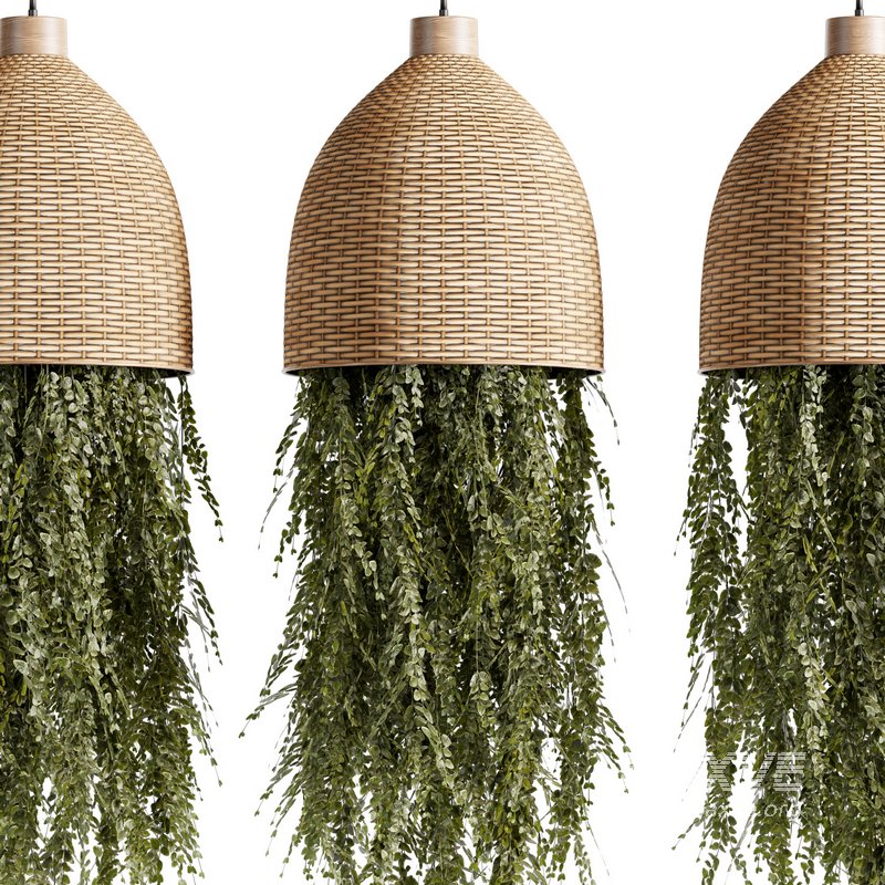 Indoorplants-Hanging plants set-81 - Image 3