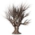 Dry Tree Set26 - Thumbnail 1