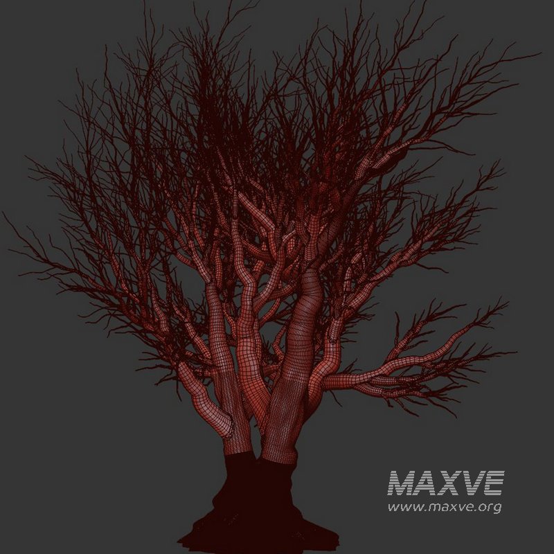 Dry Tree Set26 - Image 2