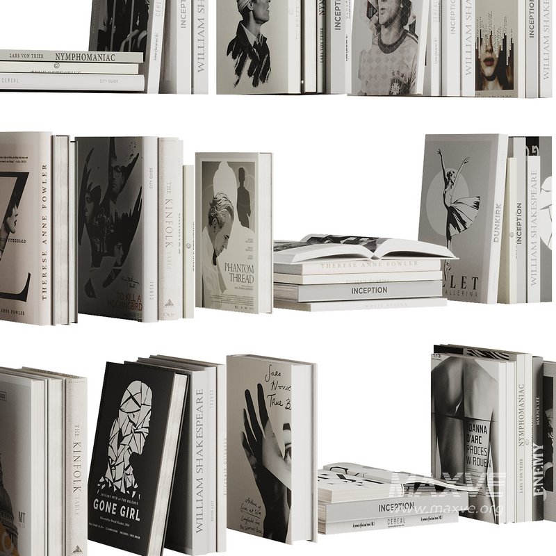 Set of Books V6 - Image 3