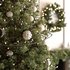 Christmas Tree and Decoration 72 - Thumbnail 4