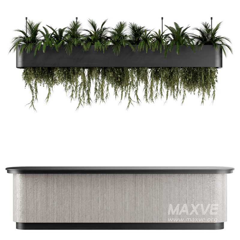 Reception Desk With Hanging Plants – Set10 - Image 1