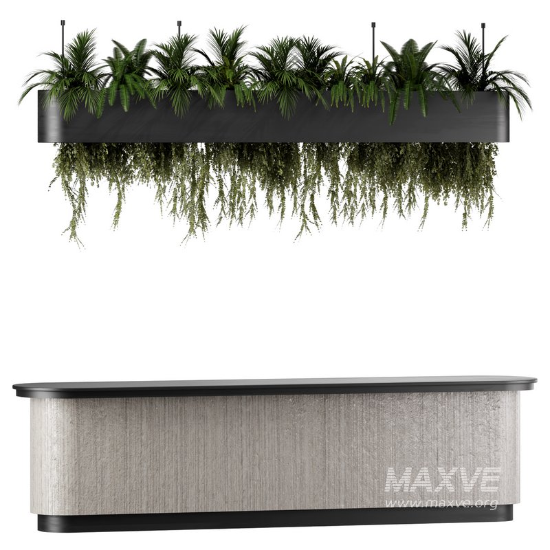 Reception Desk With Hanging Plants – Set10 - Image 2