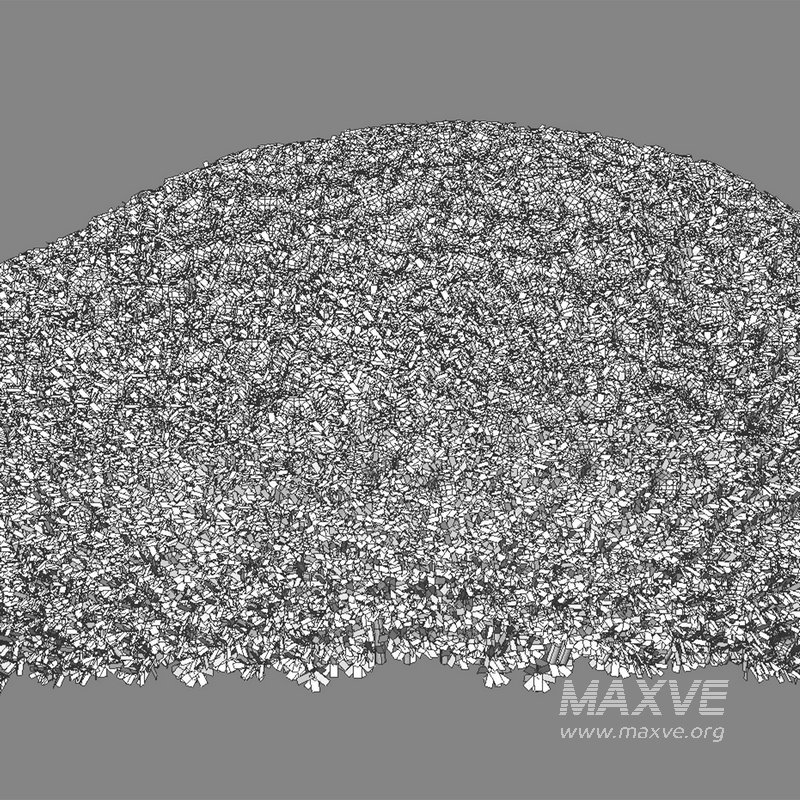 Rhododendron – Impatiens sodenii 01 - Image 3