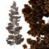 Pinus tree002 - Thumbnail 2