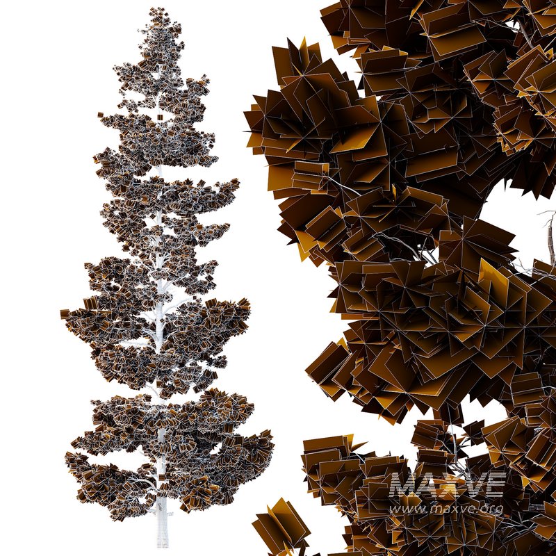 Pinus tree002 - Image 2