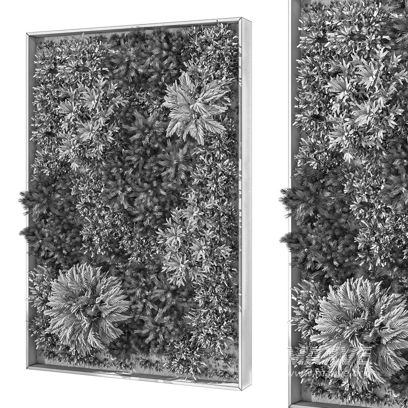 Fitowall Set No.1 - Image 4