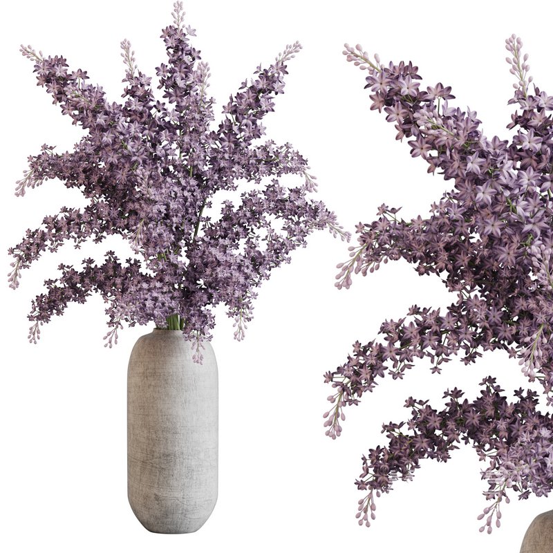 blooming lilac in white pot - Image 1