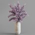 blooming lilac in white pot - Thumbnail 4