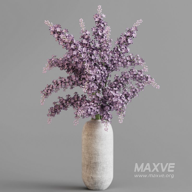blooming lilac in white pot - Image 4