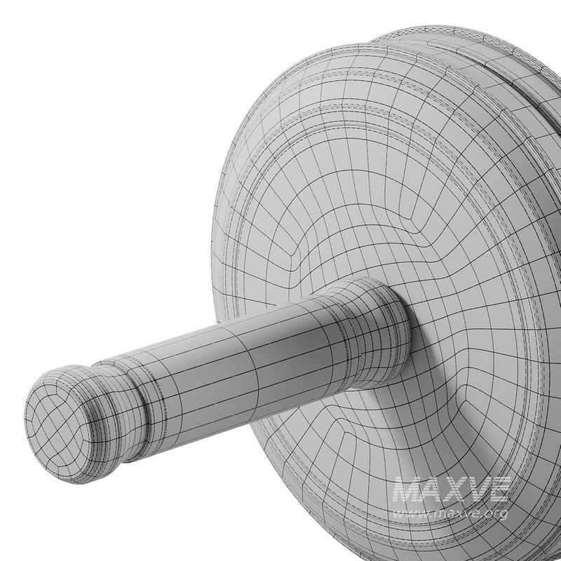 TWISTA Luxury Gym AB Roller - Image 15