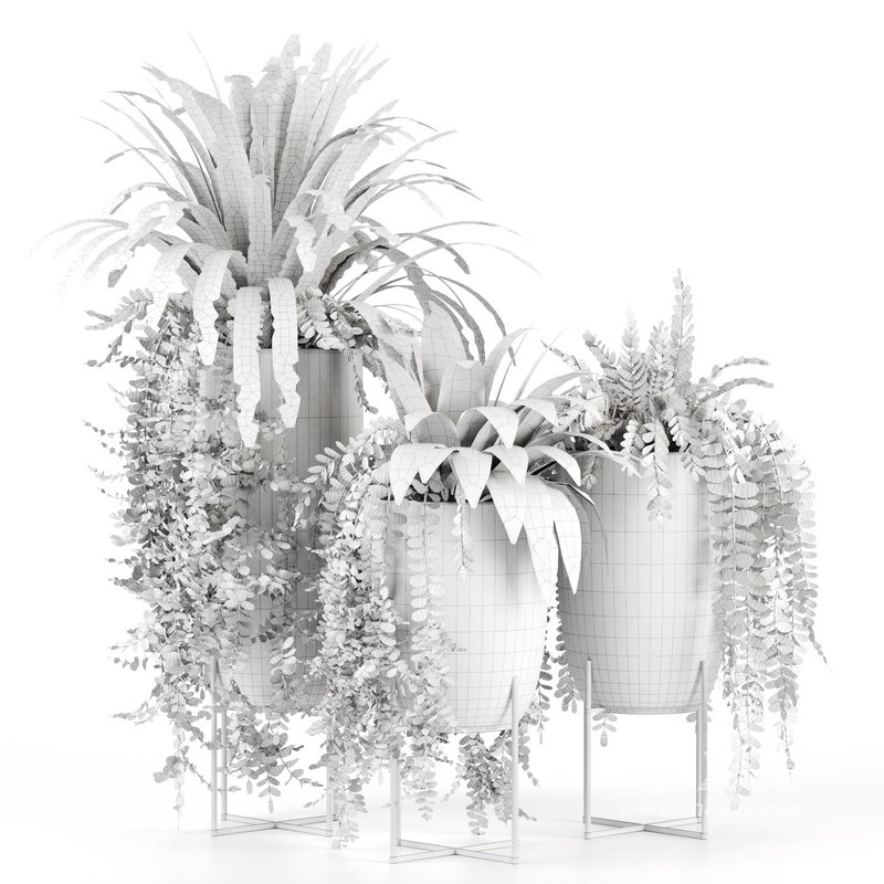 Indoorplants-149 - Image 5