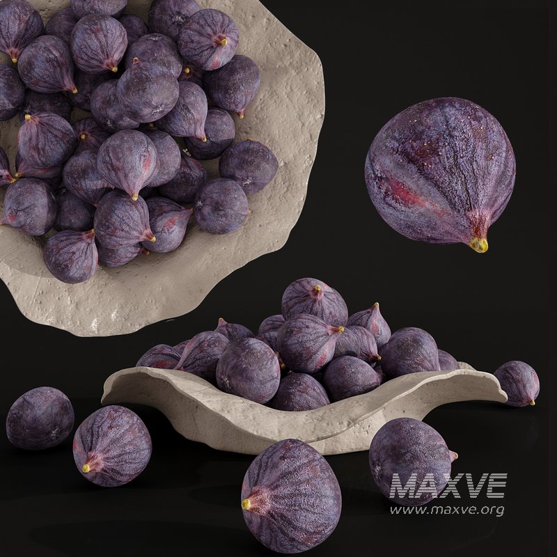 Black Fig - Image 1