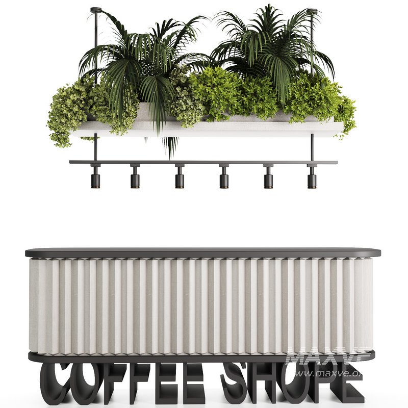 Reception Desk With Hanging Plants – Set11 - Image 4