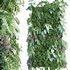 Vertical garden 16 - Thumbnail 1