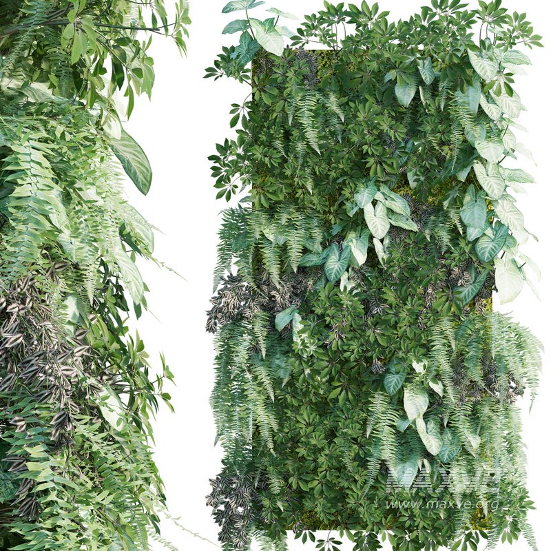 Vertical garden 16 - Image 1