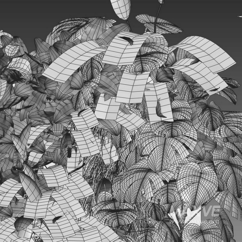 Vertical garden 19 - Image 2