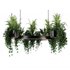 Indoorplants-Hanging plants set-83 - Thumbnail 1